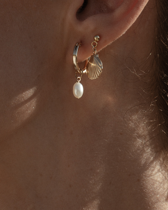 Mila Shell 14k Gold Stud Earrings